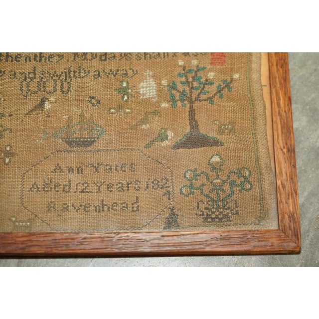 Antique English Needlework Sampler by Ann Yates, 1824 For Sale - Image 9 of 11