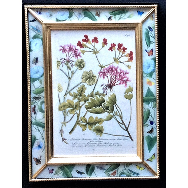 Traditional Botanical Splendor- Johann Weinmann Botanical Framed Engravings- A Set of Twelve (12) For Sale - Image 3 of 13