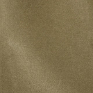Sample - Schumacher Rocky Performance Velvet Fabric in Sage For Sale