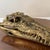 Vintage Crocodiles Brass Bust Sculpture For Sale - Image 4 of 11