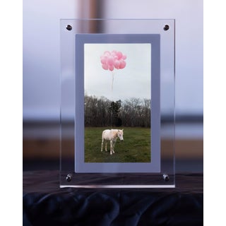 Process of Love by Shelli Langdale | Acrylic Framed Video of a horse with pink balloons For Sale