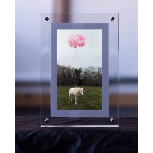 Process of Love by Shelli Langdale | Acrylic Framed Video of a horse with pink balloons For Sale