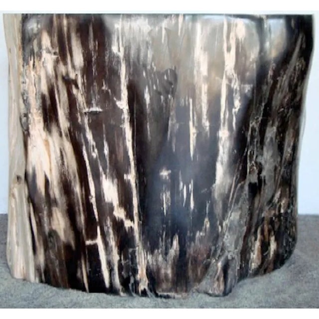 Petrified Rosewood - Amazing bookend of a pair. The pair could make THE most fantastic large scale coffee table with glass...