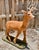 Sculpture Materials Life-Size Cast Concrete Deer Sculpture, Rustic Garden Accent For Sale - Image 7 of 8