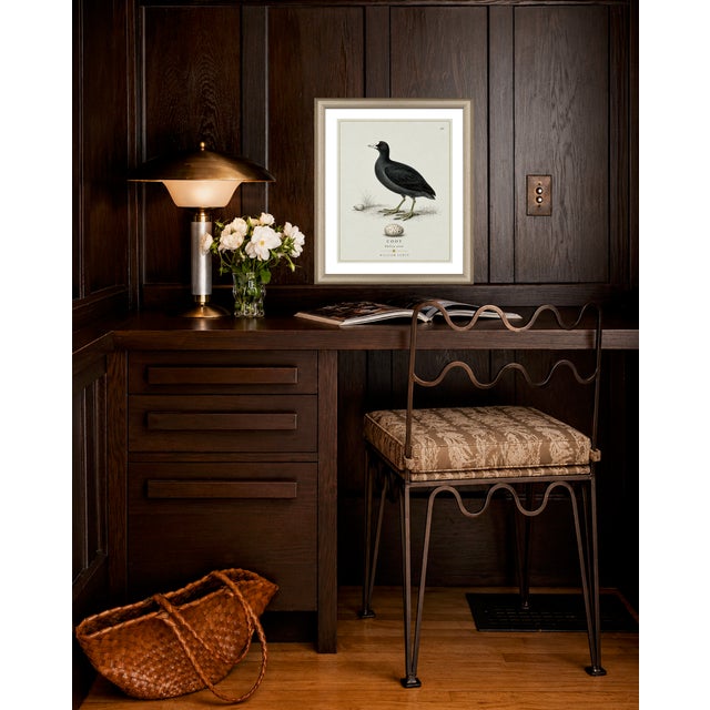 William Lewin 1789 Waterbirds Fine Art Gallery Board Print - The Coot For Sale In San Antonio - Image 6 of 12