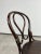 Wood Bentwood Dining Chair from Thonet, 1890s For Sale - Image 7 of 11