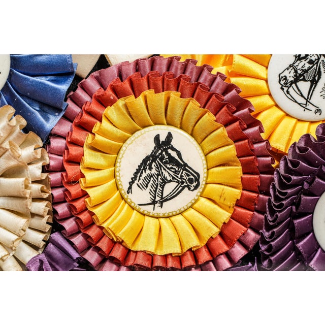 Unique Horse Show Ribbon Trophy Collage Vintage Country Home Wall Decor For Sale In New York - Image 6 of 9
