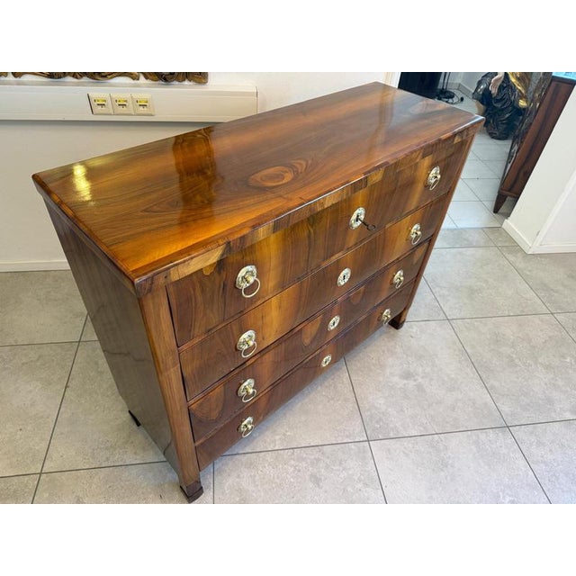 Wood Antique Biedermeier Chest of Drawers in Walnut For Sale - Image 7 of 14