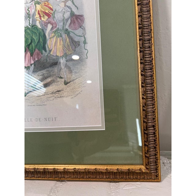 Grandville Belle-De-Nuit Hand-Colored Engraving Les Fleurs Animees For Sale - Image 12 of 15