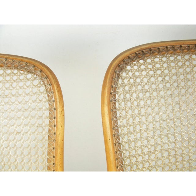1950s Set of 811 Chairs by Josef Hoffmann for Thonet For Sale - Image 5 of 7