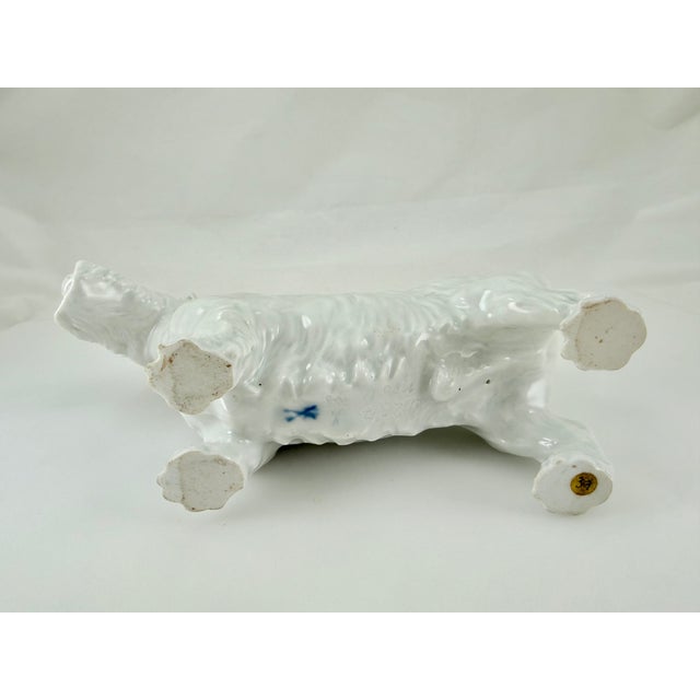 White Meissen Blanc De Chine Porcelain Scottish Terrier For Sale - Image 8 of 9