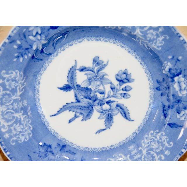 Spode Camilla Blue Scalloped Earthenware Salad Plates Set of 2 Chairish