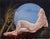 Reclining Man by John Tarantola | Oil on panel of a nude man reclining against a moonlit background For Sale
