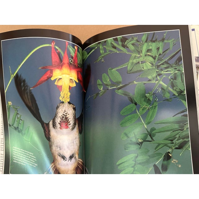 1990s 1993 National Geographic Book For Sale - Image 5 of 7