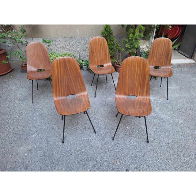 Wood Medea Chairs with Straight Backrests by Vittorio Nobili for Medea, 1950s, Set of 5 For Sale - Image 7 of 11
