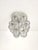 Mid-Century Snowball Sputnik Glass Flush Mount from Doria Leuchten, Germany, 1970s For Sale - Image 18 of 18