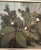M. Jakobsson, White Blossoms, 1950s, Oil Painting on Canvas, Framed For Sale - Image 18 of 18