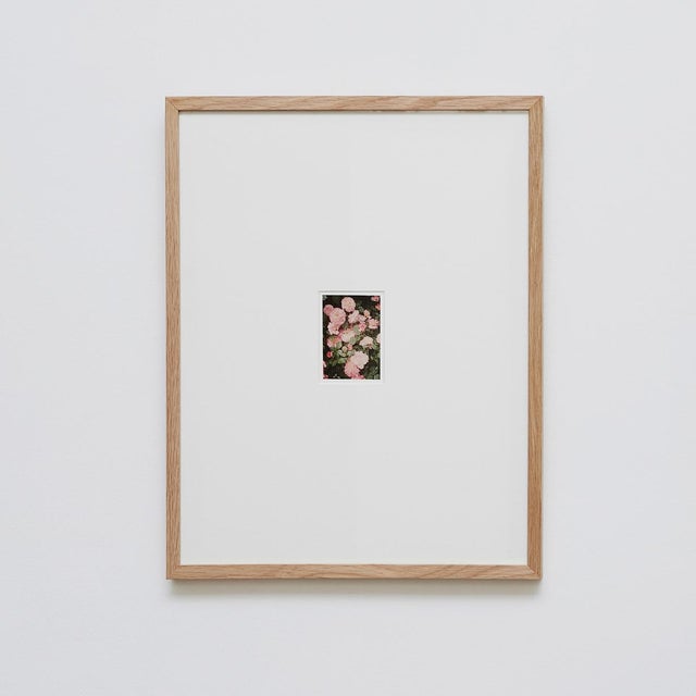 Paper The Rose Garden Prints by David Urbano, 2018, Set of 9 For Sale - Image 7 of 18