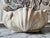Gorgeous, delicate cast porcelain cachepot in multi-scallop design. Soft white exterior with a lovely peachy interior...