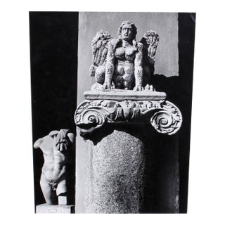Black and White Photographs of Classical Male Nude Sculpture Set of Three For Sale