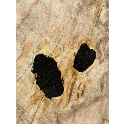 Side Table in White Petrified Wood with Black Spots For Sale - Image 4 of 18