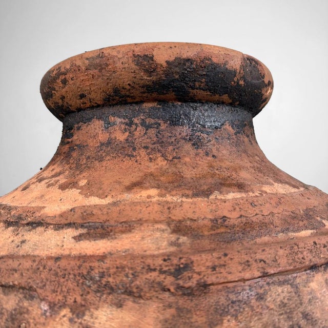 This large Portuguese olive oil jar is the kind of utilitarian pottery whose simplicity is exactly what makes it so...