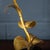 Vintage 20th Century French Floral Table Lamps from Maison Jansen, 1970s, Set of 2 For Sale - Image 11 of 18