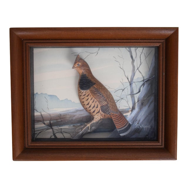 Abercrombie & Fitch X Joseph Q. Whipple Hand Painted Quail Shadowbox For Sale