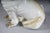 Ceramic Pug Dog Figurine, England, 20th Century For Sale - Image 18 of 18