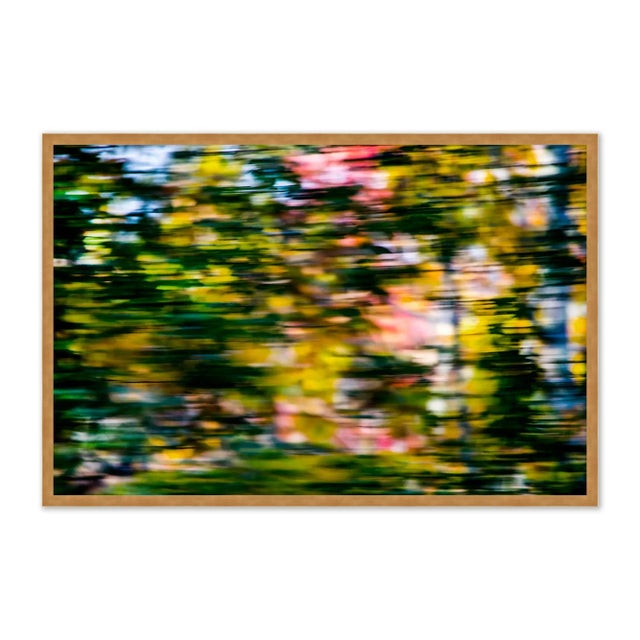 Contemporary Through the Trees by Geoffrey Baris, Art Print in Gold Frame, Small For Sale - Image 3 of 3