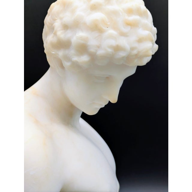 Alabaster 19th Century Grand Tour Alabaster Bust: Capitoline Antinous For Sale - Image 8 of 13