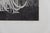 Anne Parisot-Baille, Parade nuptiale, Etching For Sale - Image 6 of 7