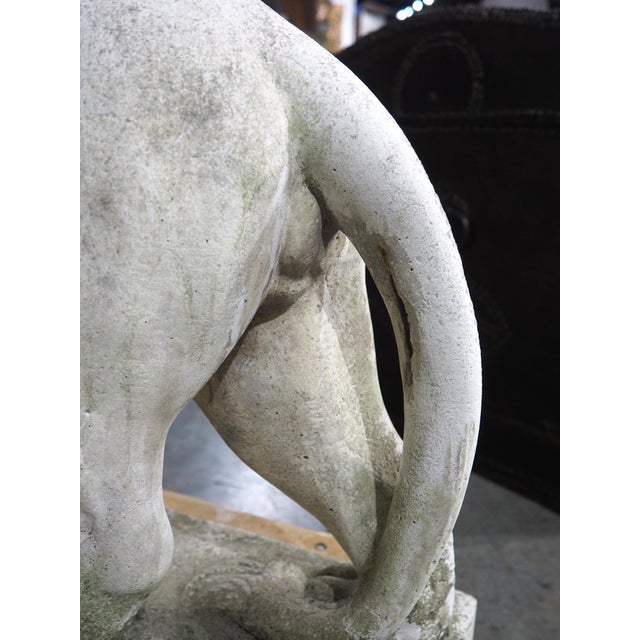A French Medici Style Lion in Reconstituted Stone, 20th C For Sale - Image 17 of 18