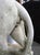 A French Medici Style Lion in Reconstituted Stone, 20th C For Sale - Image 17 of 18