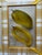 Three antique botanical fruit prints exquisitly matted together in one frame.