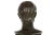 Italian Grand Tour Antique Bronze Sculpture, Bust of Julius Caesar For Sale - Image 9 of 12