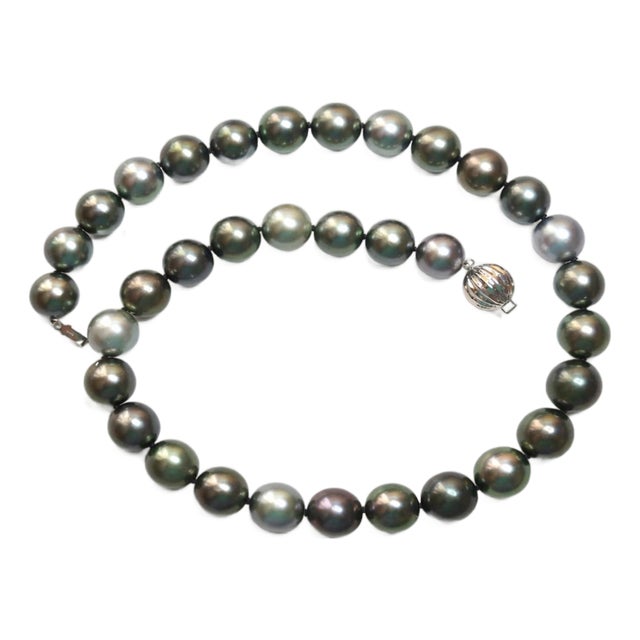 South Sea Tahitian Black Pearl Necklace With 14k White Gold Clasp For Sale