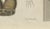 19th Century Bertuch, Garden Spider with Magnified Fangs, 1805, Print For Sale - Image 5 of 12