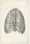 Paper Jules Cloquet, French Anatomical Lithographs, 1821, Lithograph, Set of 4 For Sale - Image 7 of 9