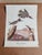 White Vintage Audubon Birds of America Prints - Set of 14 For Sale - Image 8 of 15