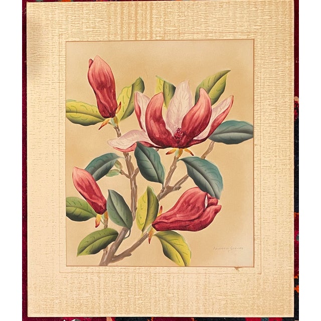 1940s Shirrell Graves Saucer Magnolia Painting For Sale - Image 6 of 7