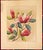 1940s Shirrell Graves Saucer Magnolia Painting For Sale - Image 6 of 7