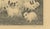 1920s Henri Verstijnen, English Spot Rabbits Wildlife, 1925, Lithograph For Sale - Image 5 of 9