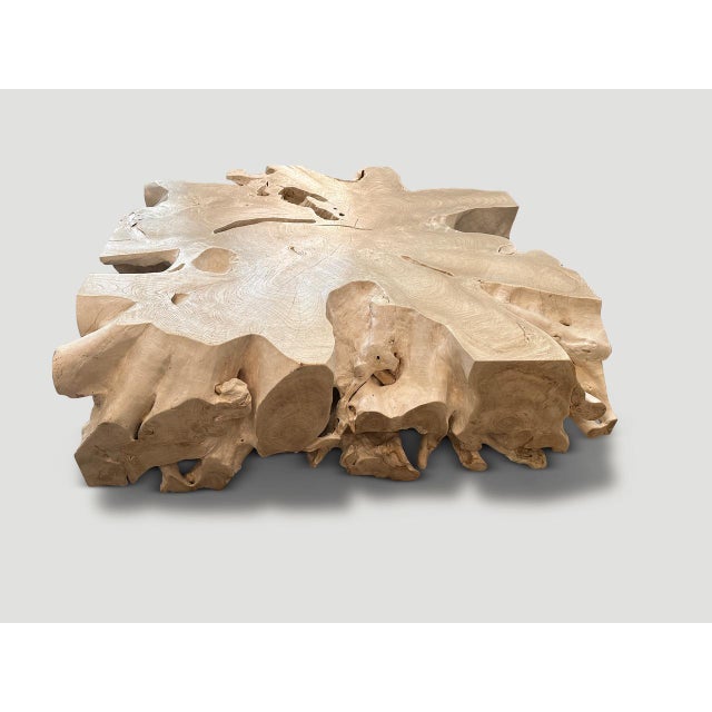 Andrianna Shamaris Monumental Bleached Teak Wood Organic Root Coffee Table For Sale - Image 17 of 18
