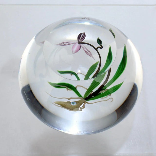 Chris Buzzini Artist-Proof Orchid Flower and Roots Art Glass Paperweight For Sale In Philadelphia - Image 6 of 13