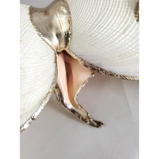 Bowl Caviar Dish Silver Dipped Shells Seashells For Sale - Image 12 of 14