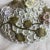 Early 20th Century Meissen Schneeballen Snowball Covered Flowers Bowl Encrusted For Sale In Palm Springs - Image 6 of 12