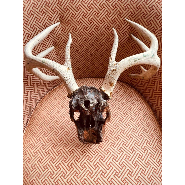 Copper Authentic Large Decorative Copper Coated Deer Skull Rustic Cabin Decor Art For Sale - Image 8 of 11
