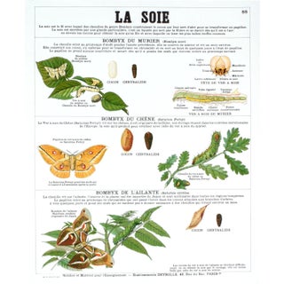 2004 Emile Deyrolle 'La Soie (Silk)' Multicolor,White,Green France Lithograph For Sale