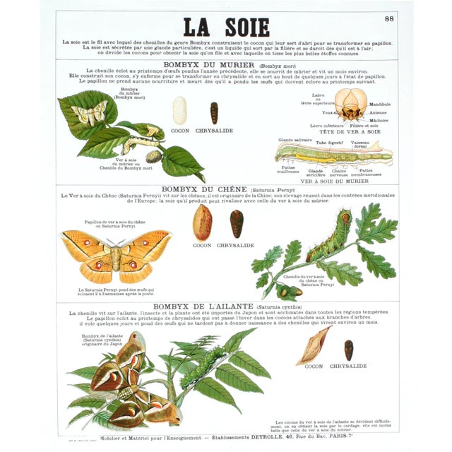 2004 Emile Deyrolle 'La Soie (Silk)' Multicolor,White,Green France Lithograph For Sale